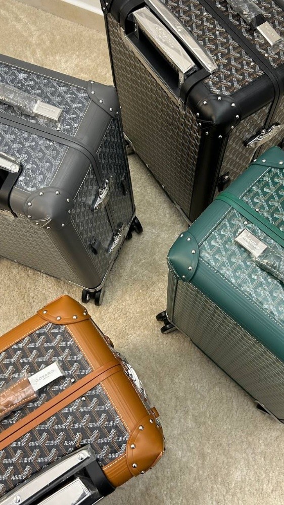 luxury goyard bag - 12