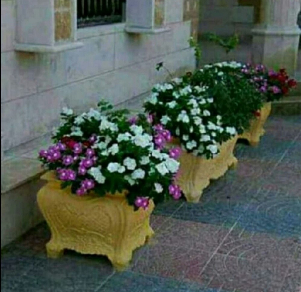 مهندس زراعي - 8