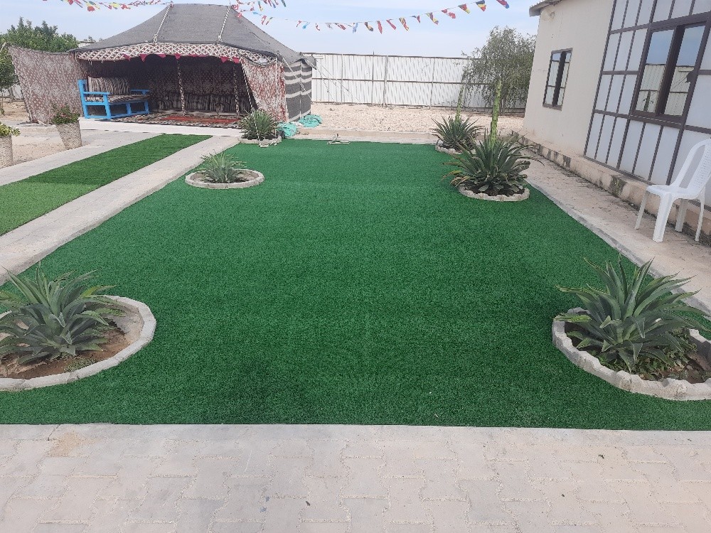 سجادة خضراء - 7