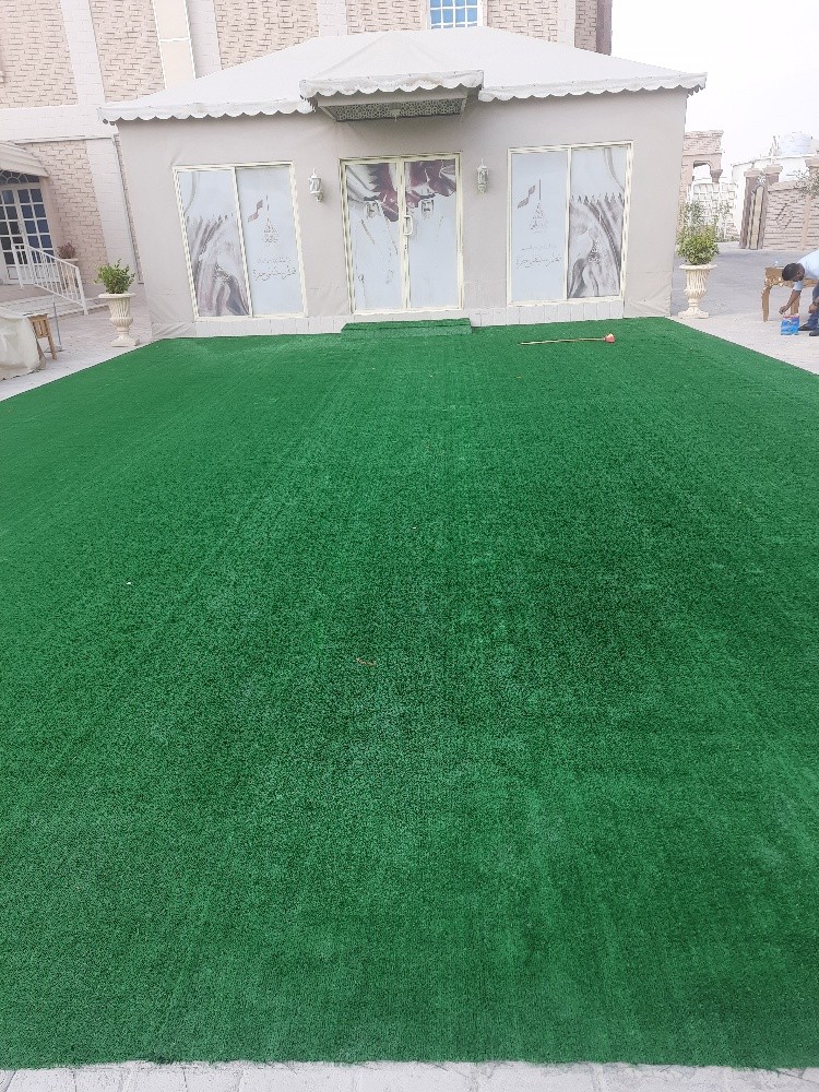 سجادة خضراء - 3