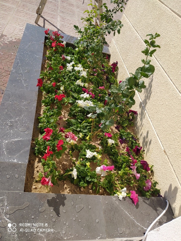 مهندس زراعي - 2