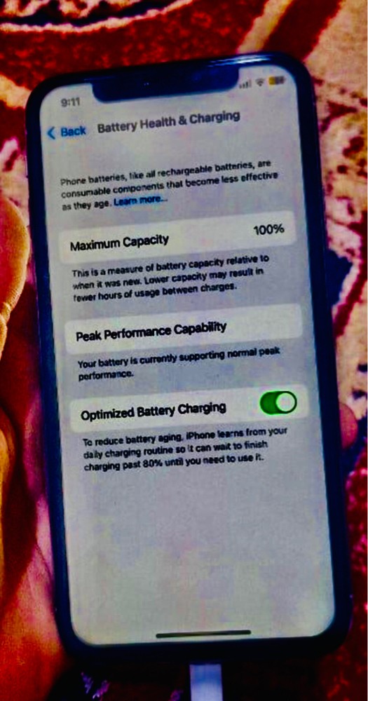 iPhone X 256GB and Battery100 - 3