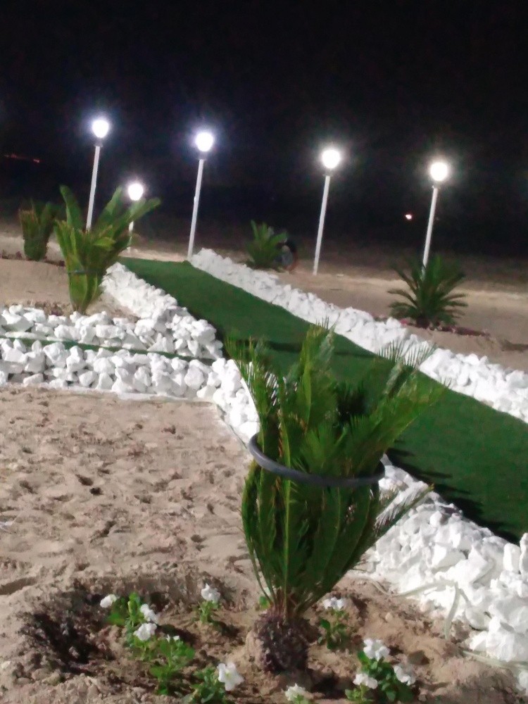 الورود - 5
