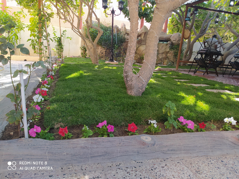 مهندس زراعي - 1