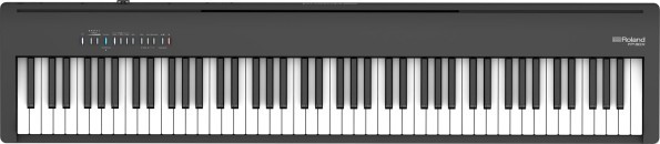 FP-30X - 6