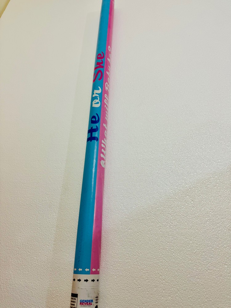 Gender reveal party shooter - 1