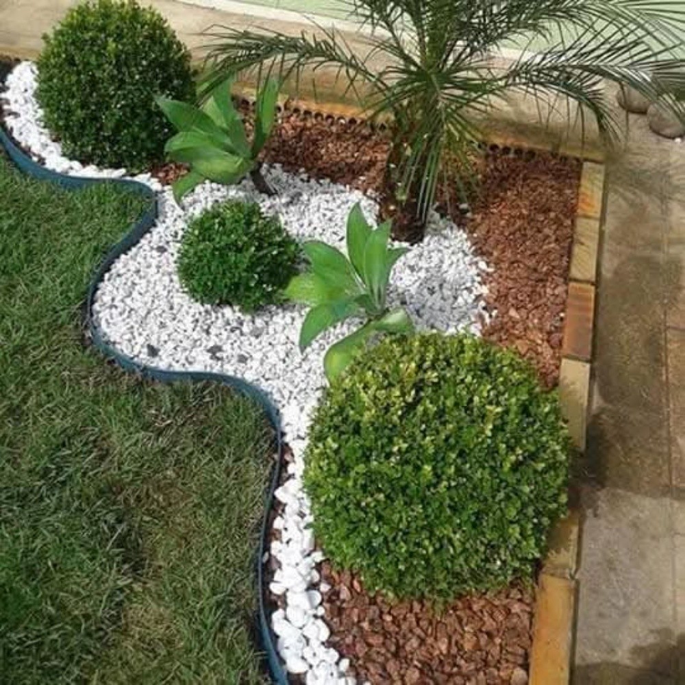 جمار النخيل للبع2222 - 1