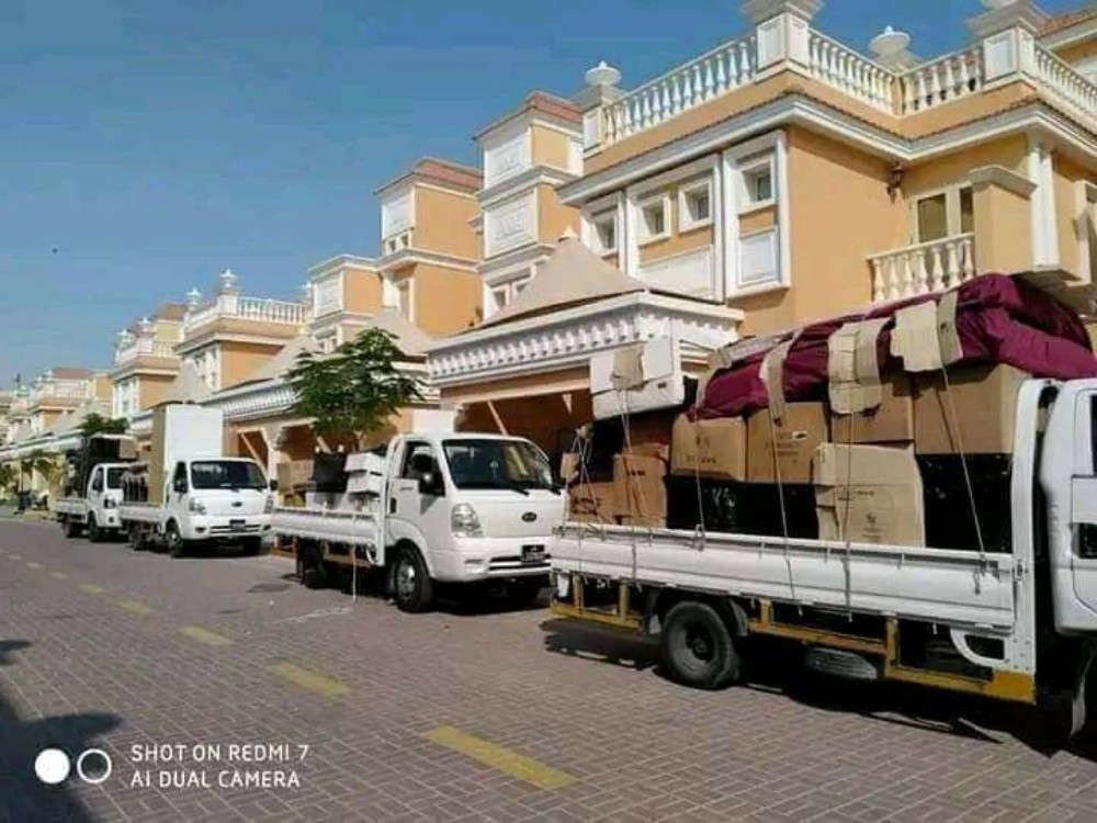 professional moving service - 4