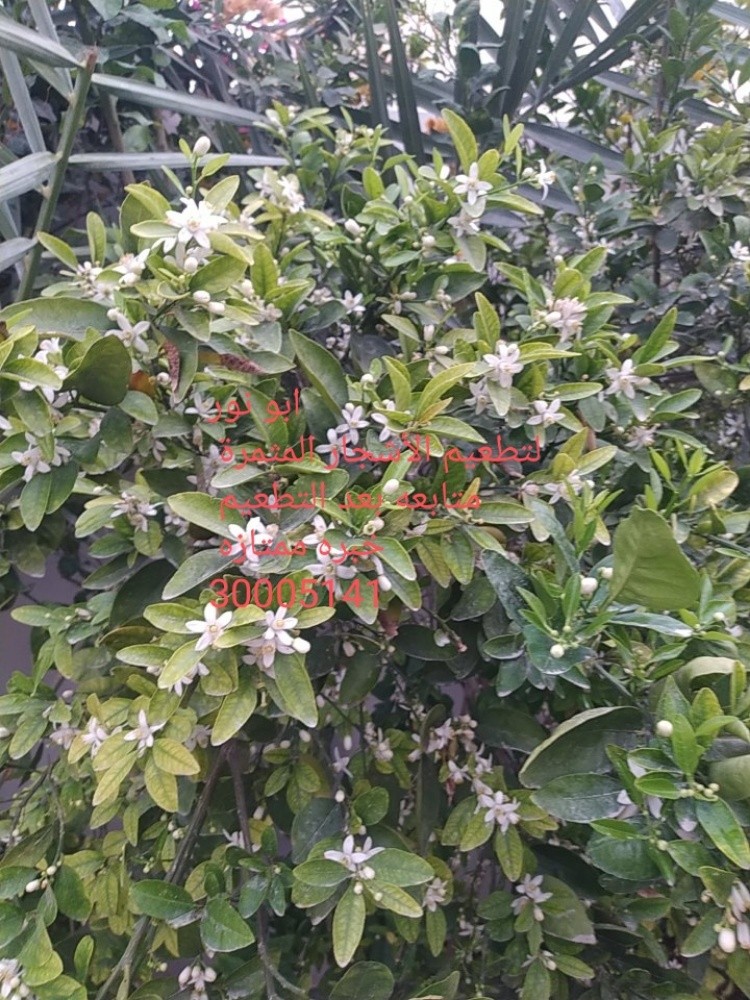 مهندس زراعي - 2