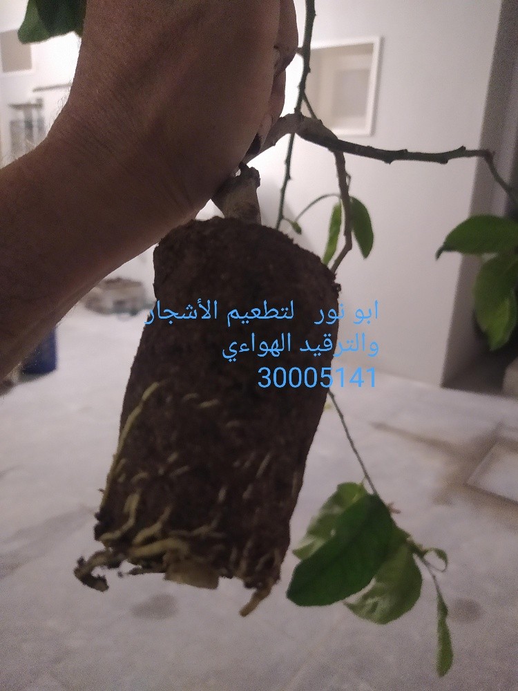 مهندس زراعي - 3