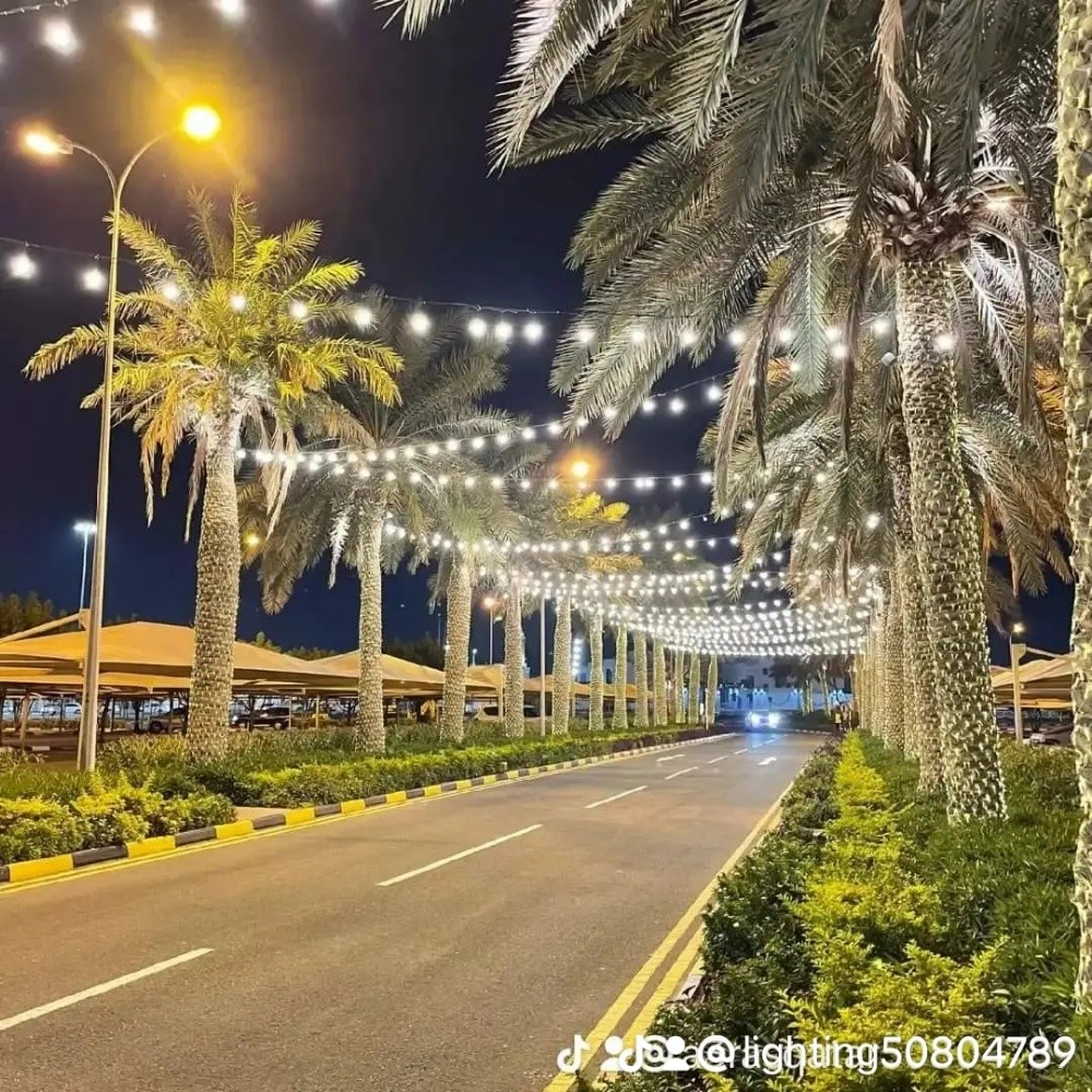 lighting dacouration Qatar - 4