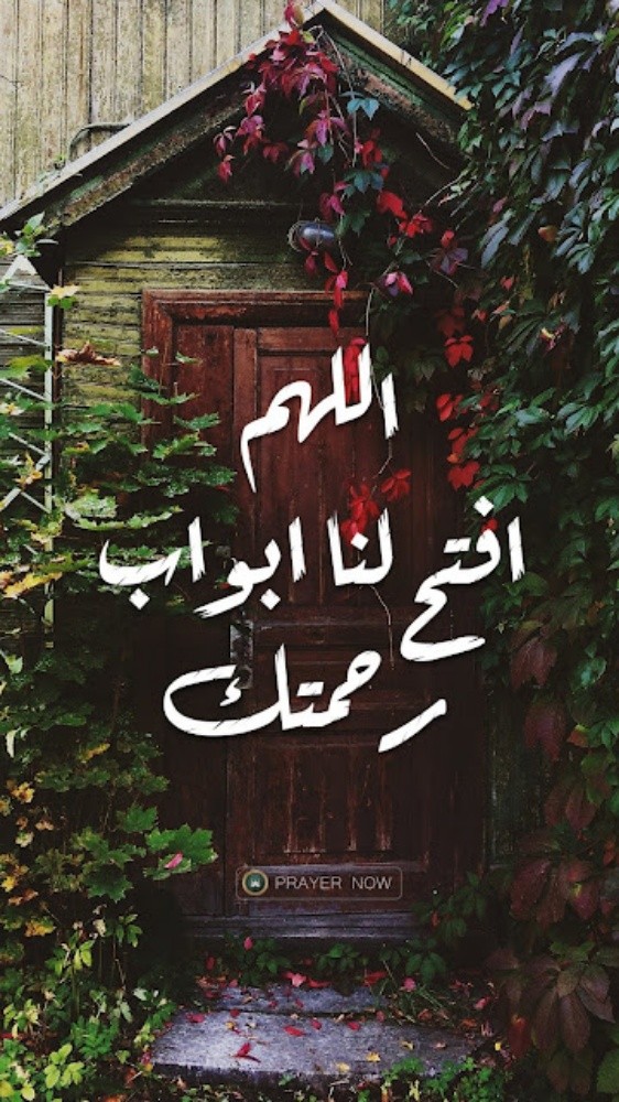 الصبغ الداخلي والخارجي والديكورات - 9