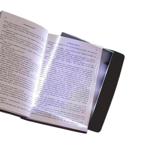 Reading Light for the Dark - 1