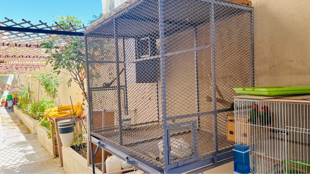 Big cage for sale - 2