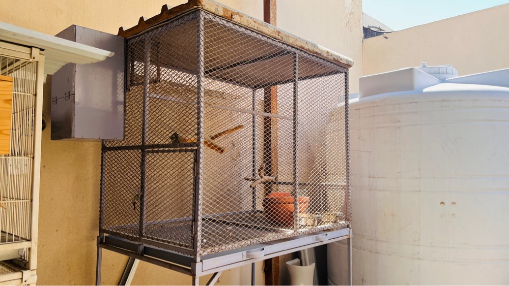 Big cage for sale - 1