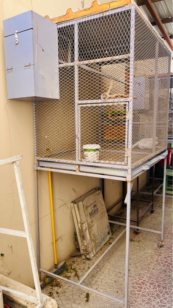 Big cage for sale - 3