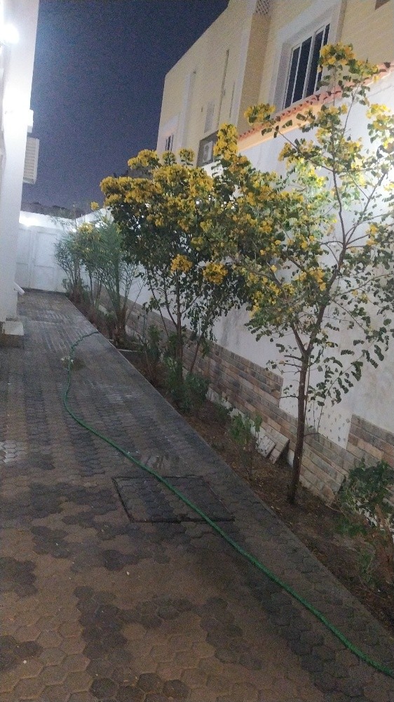 مهندس ابو نور - 2