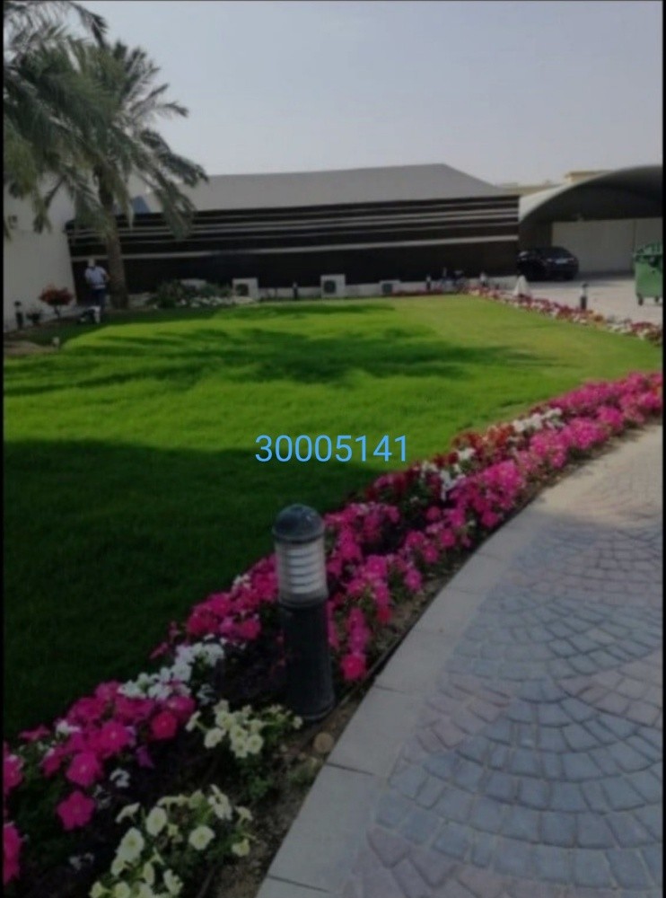مهندس ابو نور - 1