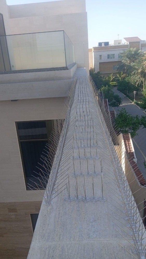 اشواك طارده للحمام - 5