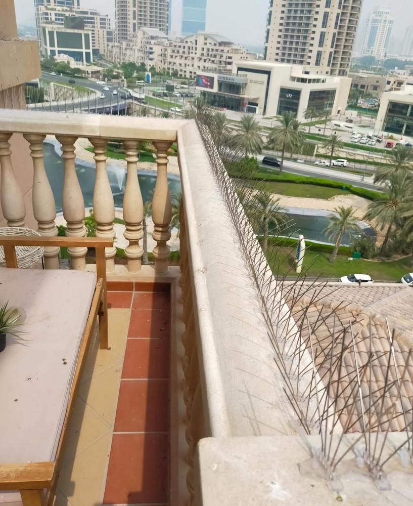 اشواك طارده للحمام - 7