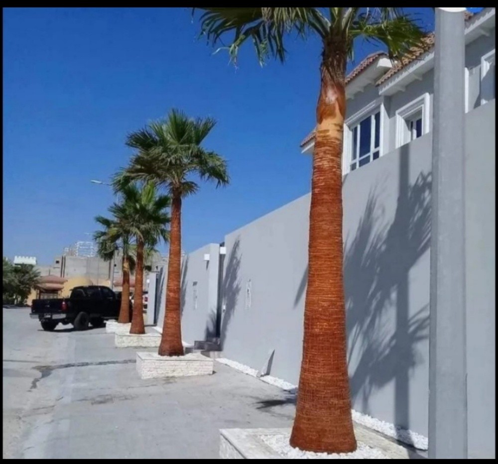 تقريب وتعقيم - 1