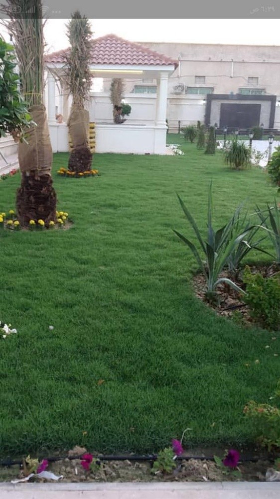 حدائق - 1