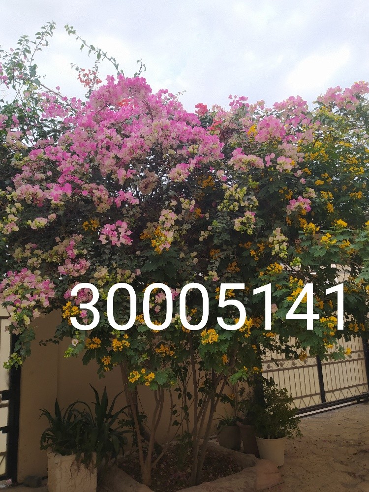 مهندس زراعي - 6