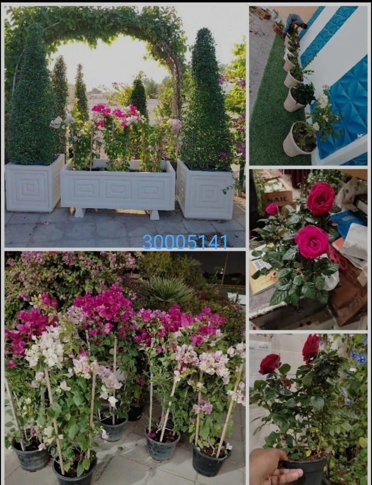 مهندس زراعي - 1