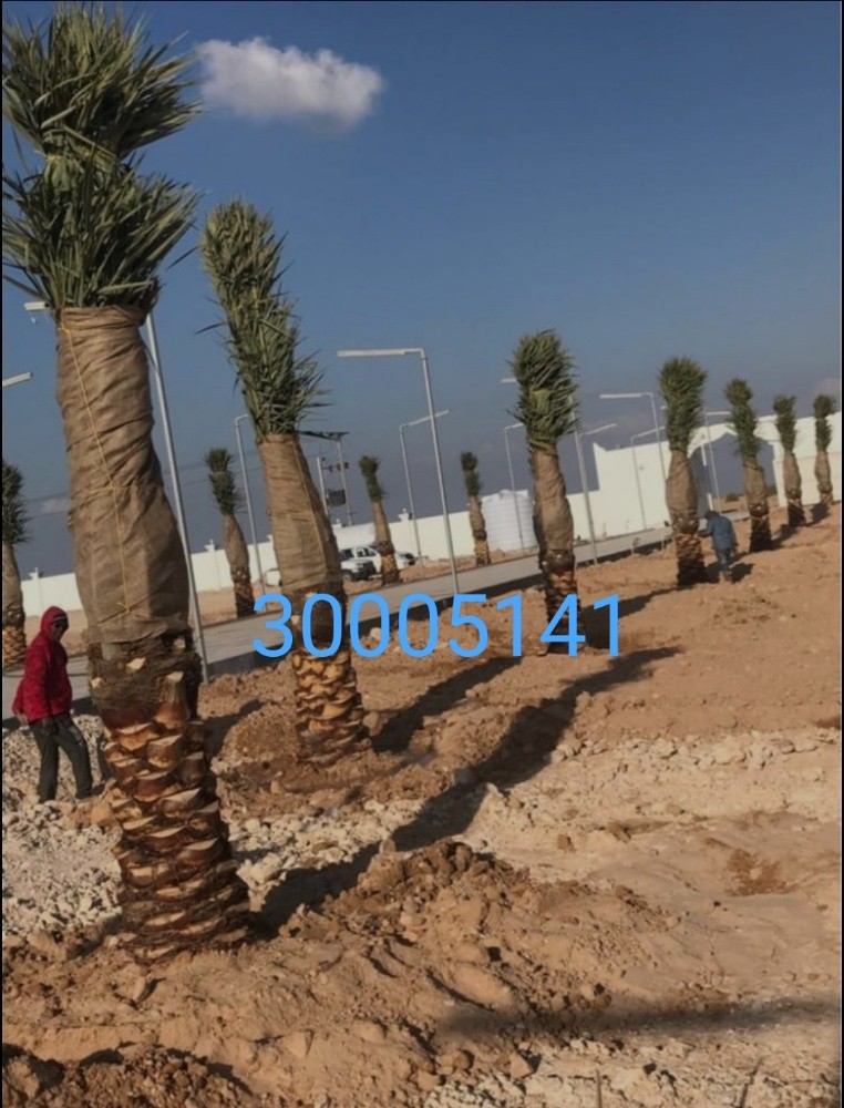 مهندس زراعي - 5