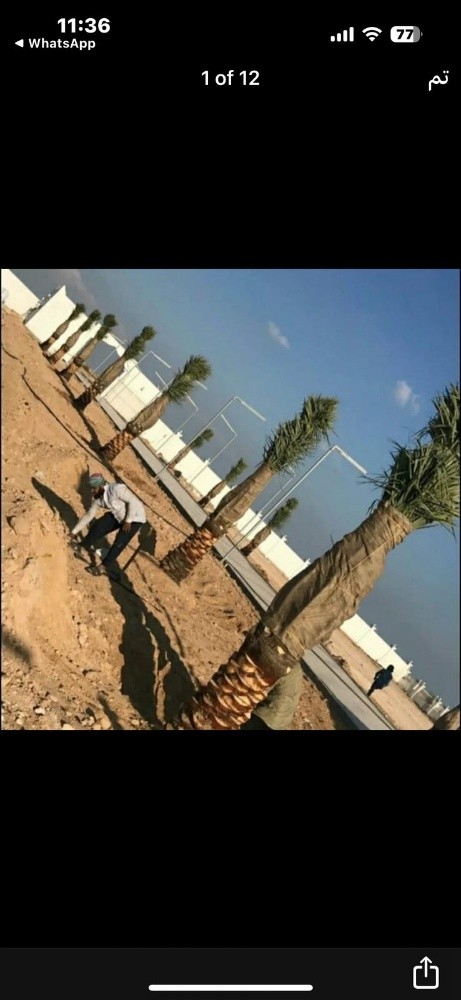 مهندس زراعي - 2