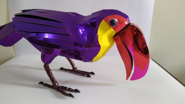 Toucan Bird - 12