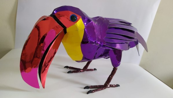 Toucan Bird - 4