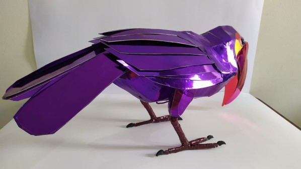 Toucan Bird - 7