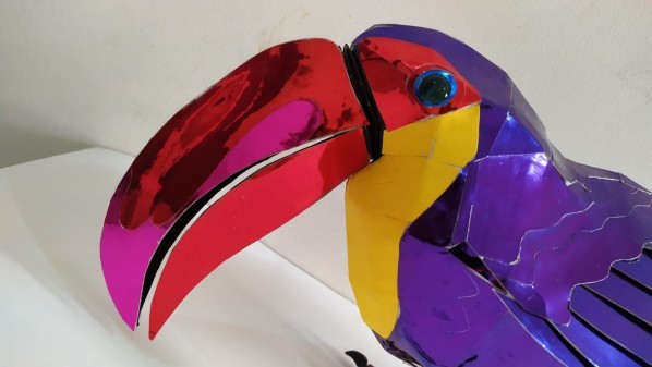 Toucan Bird - 5