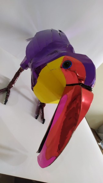 Toucan Bird - 9