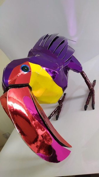 Toucan Bird - 8