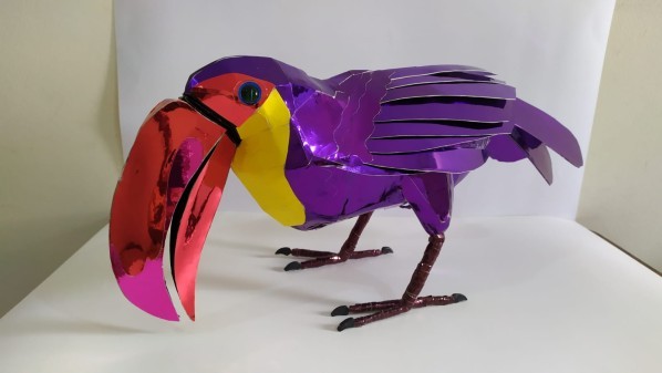 Toucan Bird - 3