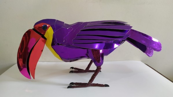 Toucan Bird - 2