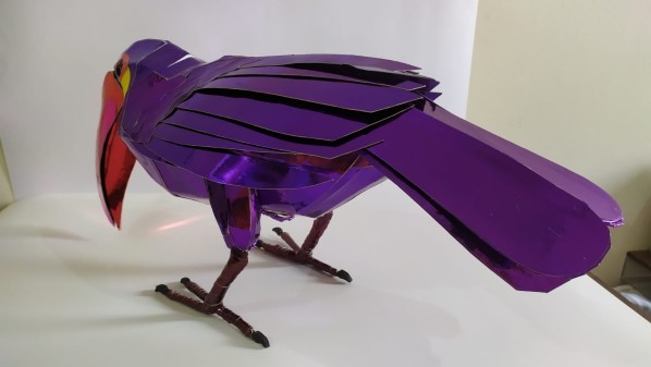 Toucan Bird - 6