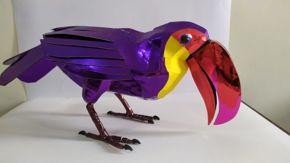 Toucan Bird - 11