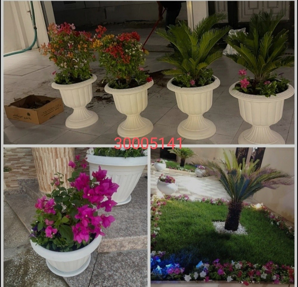 منسق حدائق - 3
