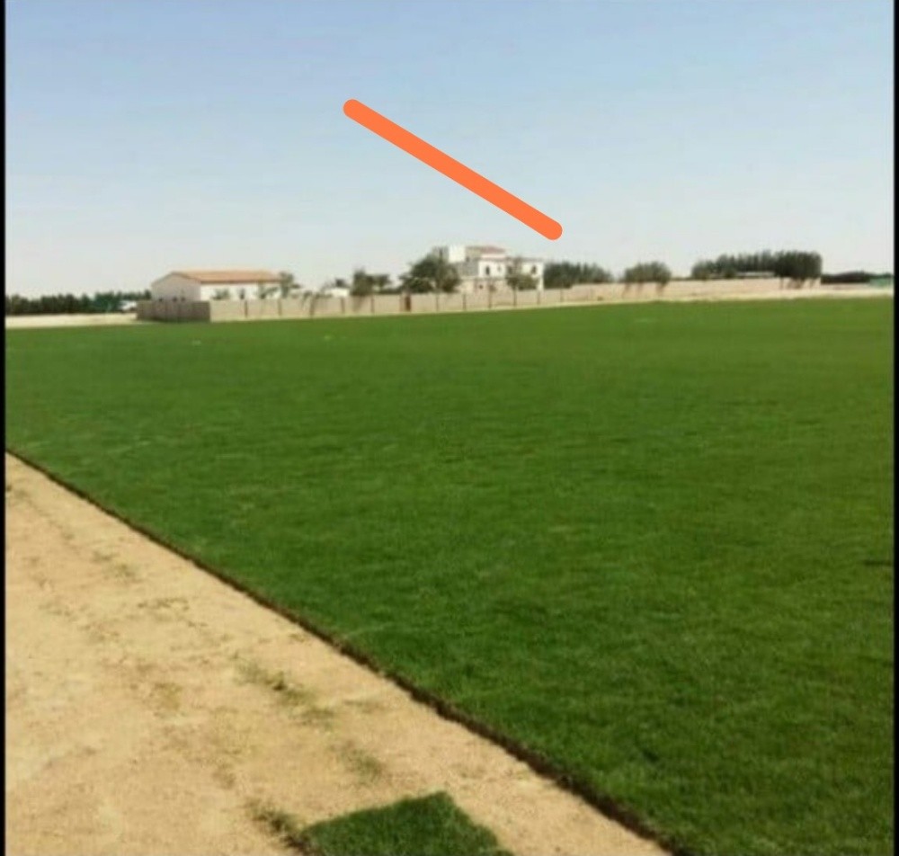منسق حدائق - 2