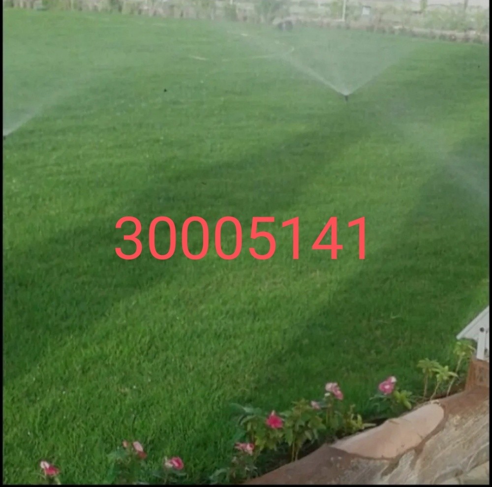 منسق حدائق - 1