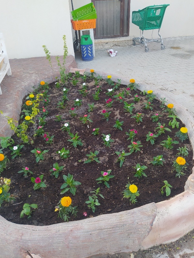منسق حدائق - 5
