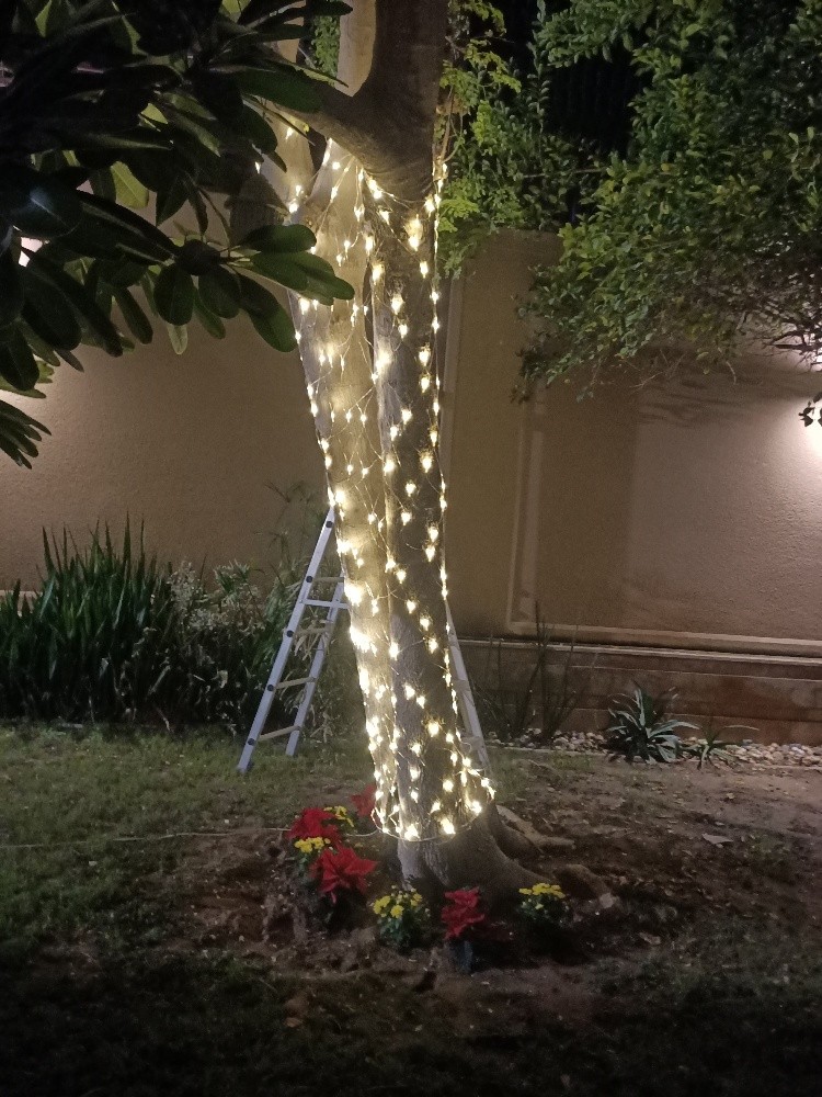 Light Fixing 55442160 - 12