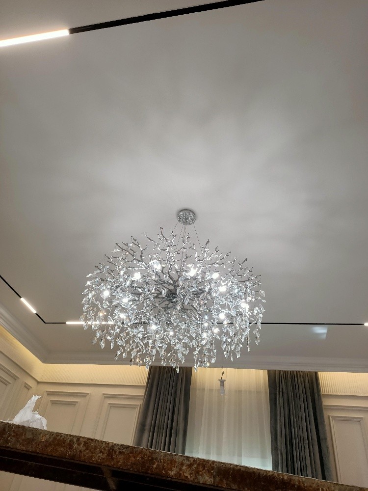 Light Fixing 55442160 - 15