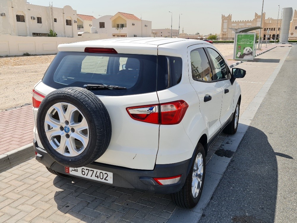 Perfect Eco sport 2015 - 3