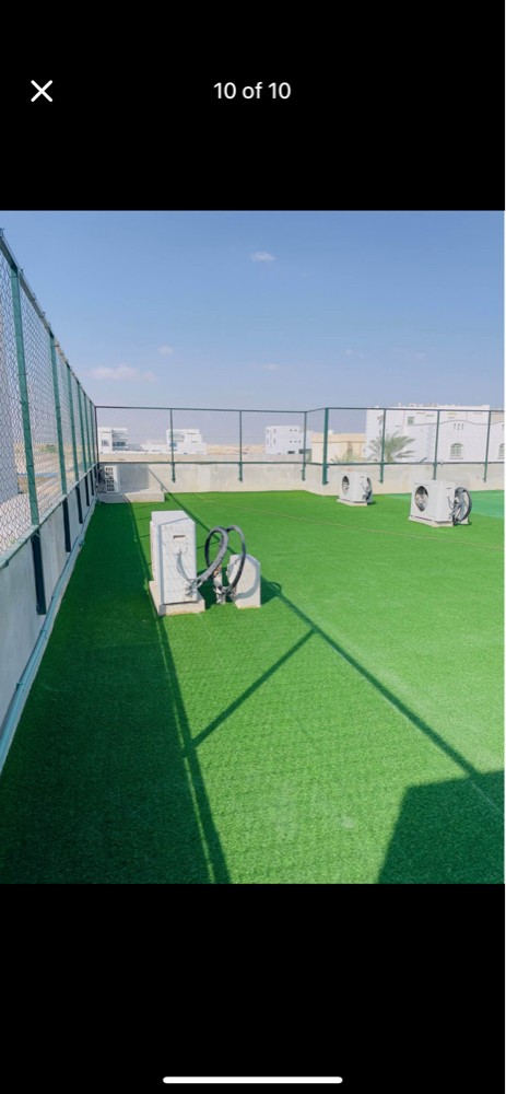 Grass Carpet - 1