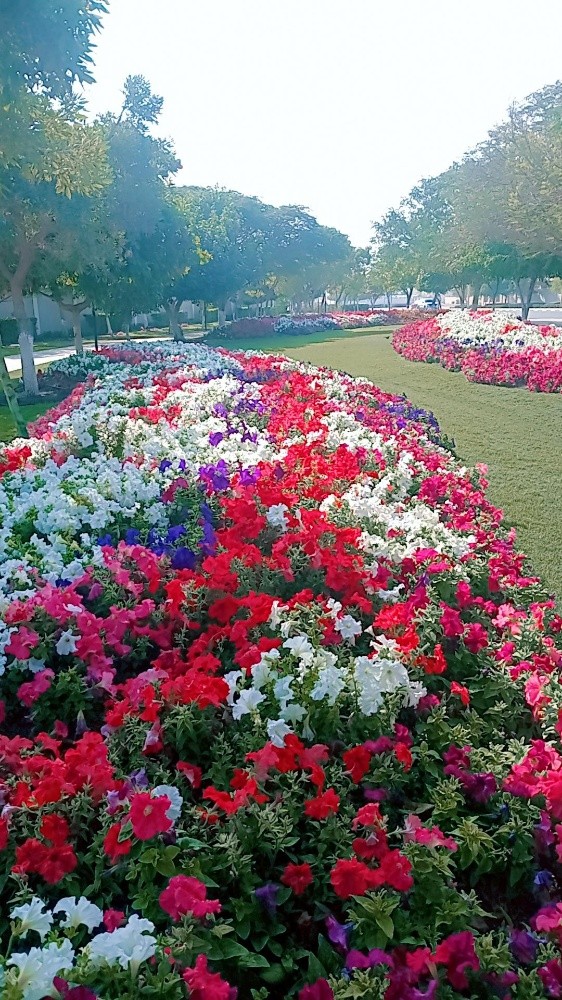 تنسيق الحدائق والعناية بها - 1