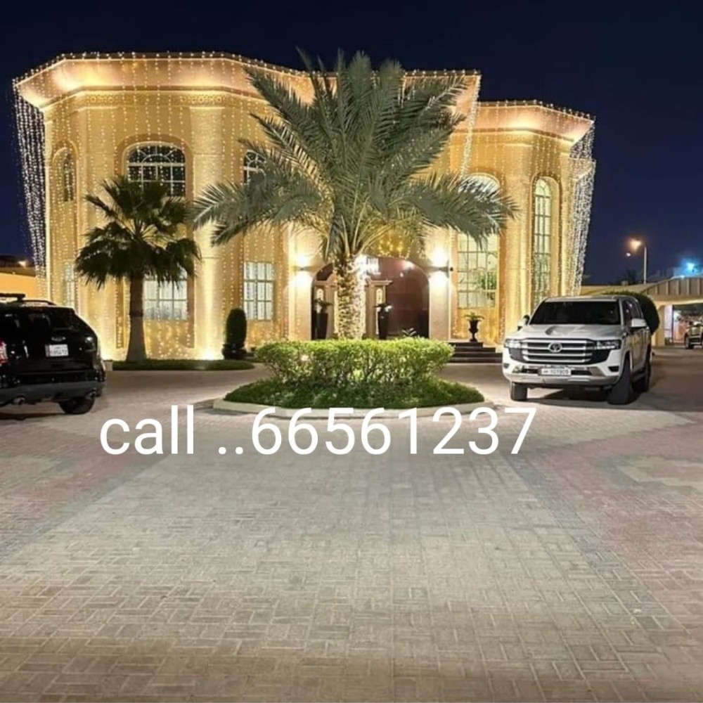 wedding  event lights qatar - 20